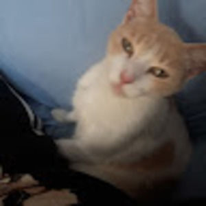 Meet your Posher, Danny